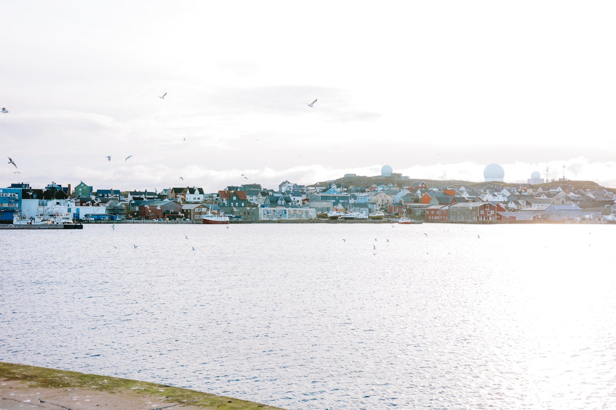 Coastal town with buildings along the shore