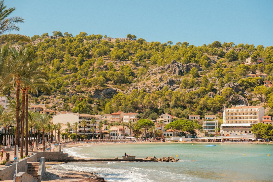 Coastal town with palm trees and green hills