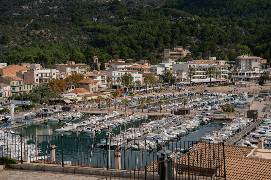 Boats docked in a busy harbor with town behind